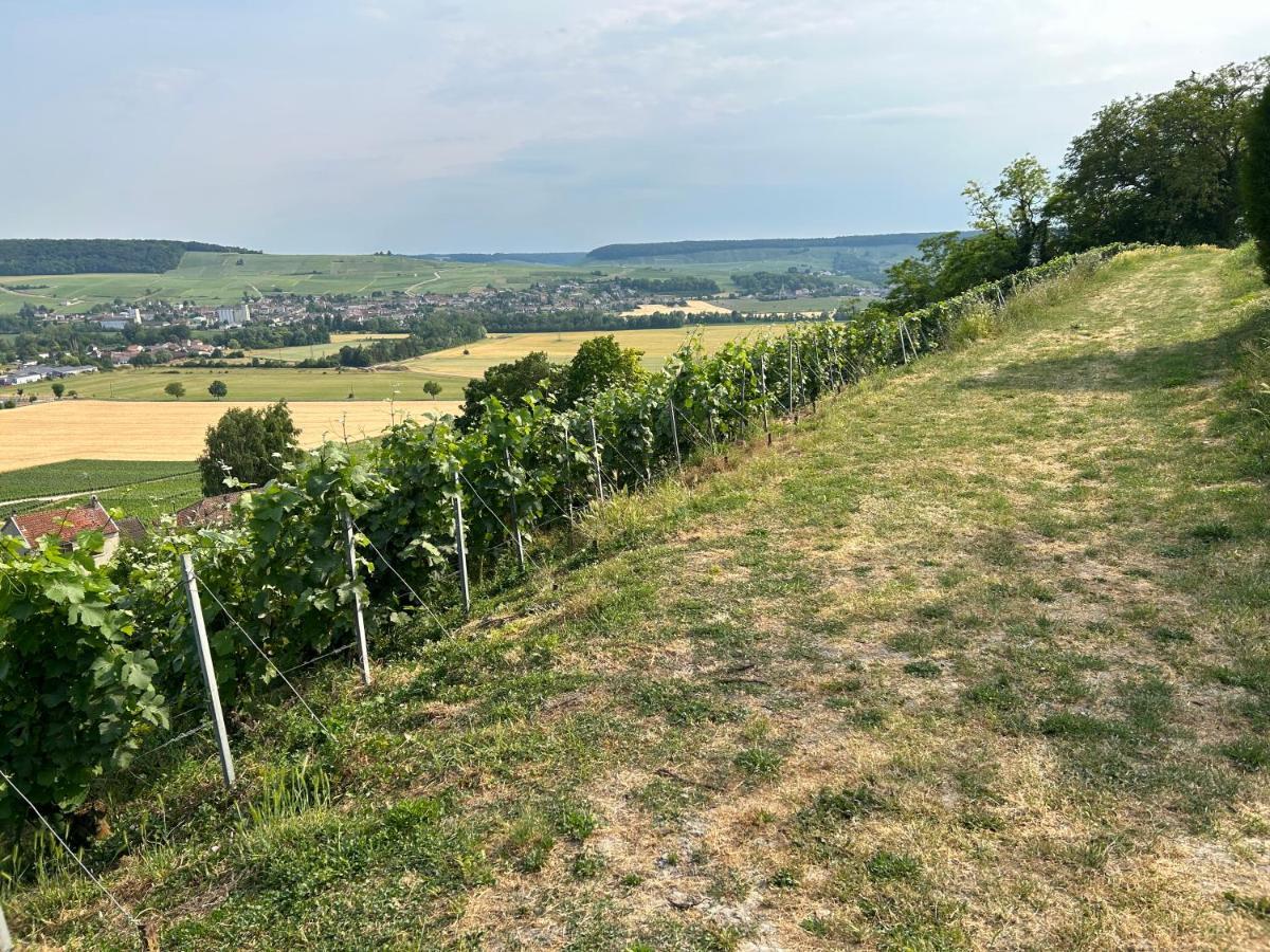 Chez Brigitte Villa Châtillon-sur-Marne Eksteriør bilde