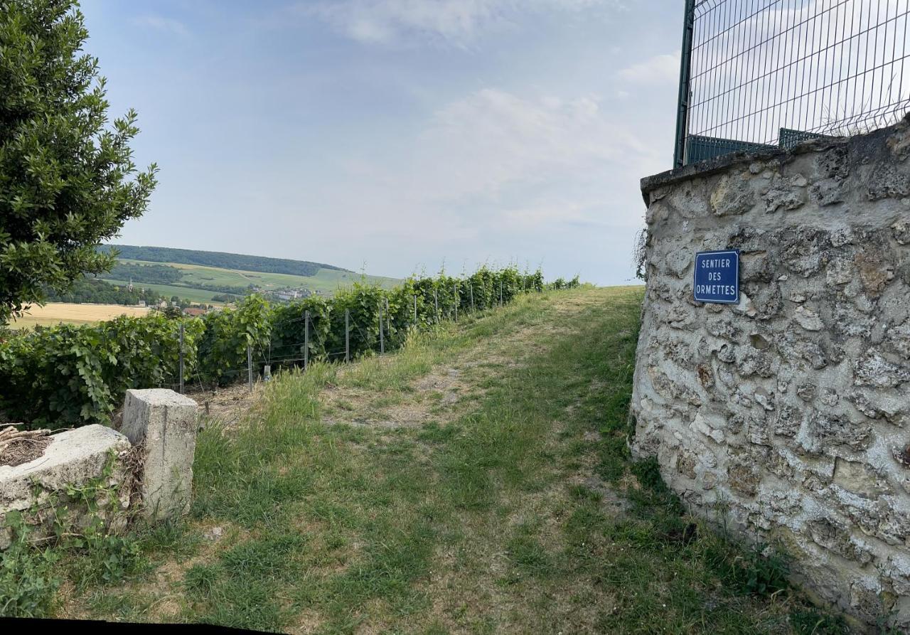 Chez Brigitte Villa Châtillon-sur-Marne Eksteriør bilde