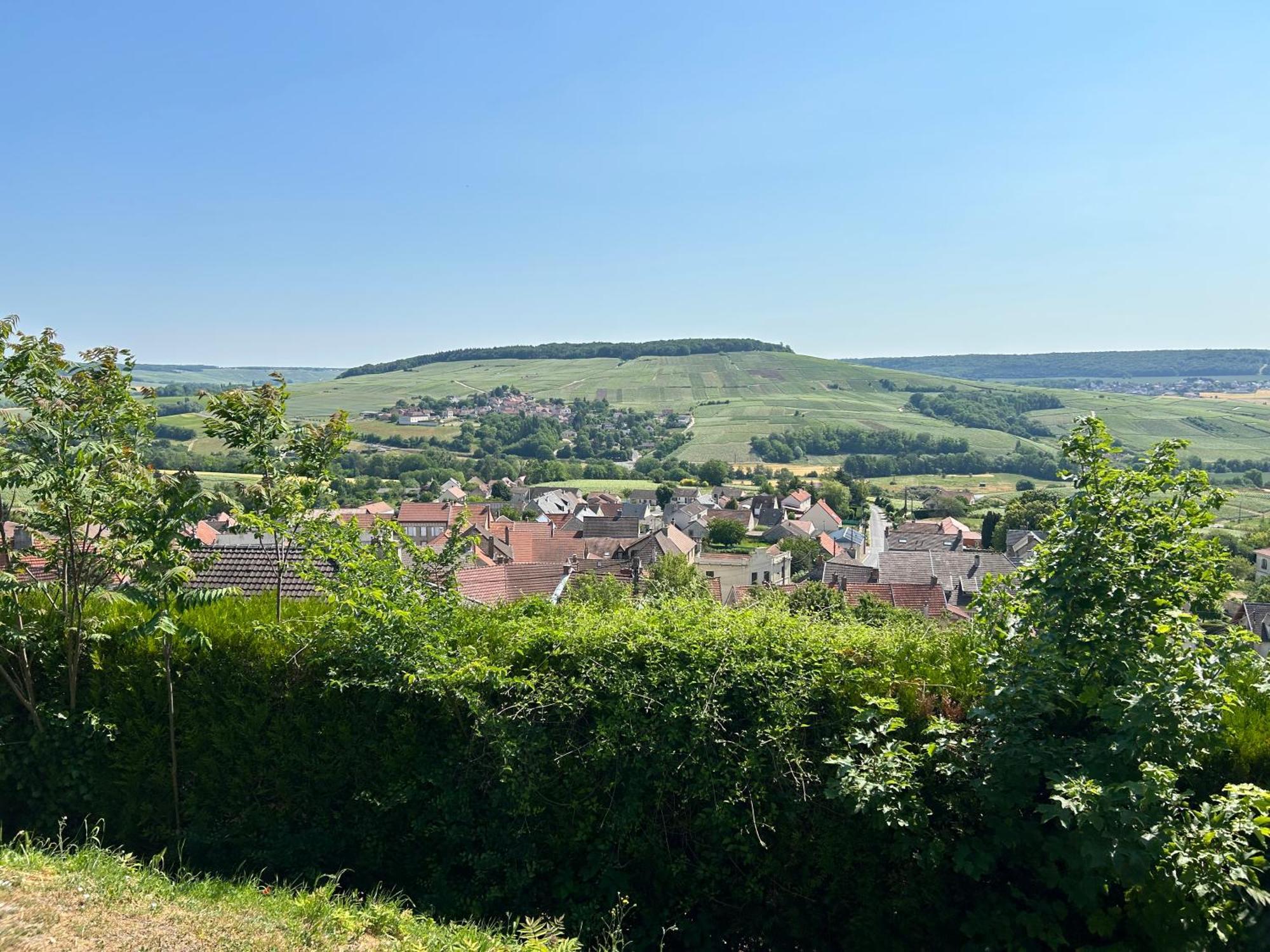 Chez Brigitte Villa Châtillon-sur-Marne Eksteriør bilde